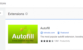 做国外项目常用的填表插件Autofill