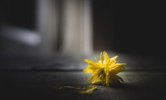 Shareasale税表如何填写？附带五月批号情况